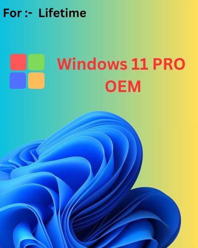 Windows 11 Pro OEM